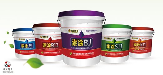 高分子防水涂料價格解析 從成本到選購的全面指南